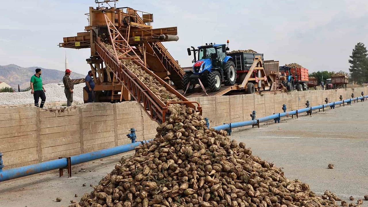 Elazığ Şeker Fabrikası’nda 71. Kampanya Dönemi Başladı: 240 Bin Ton Pancar İşlenecek