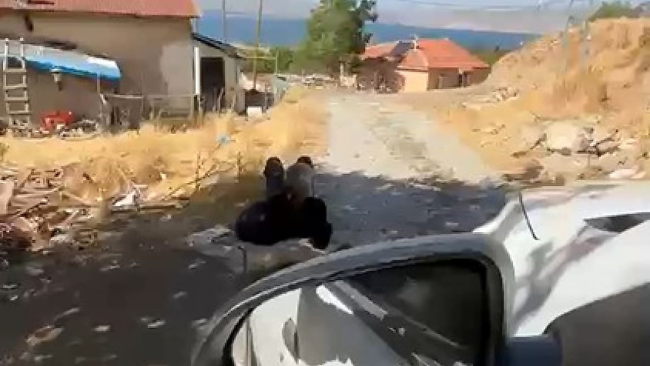 Elazığ’da Yaşlı Adam Zincirle Ağaca Bağlandı: Görüntüler Kamerada