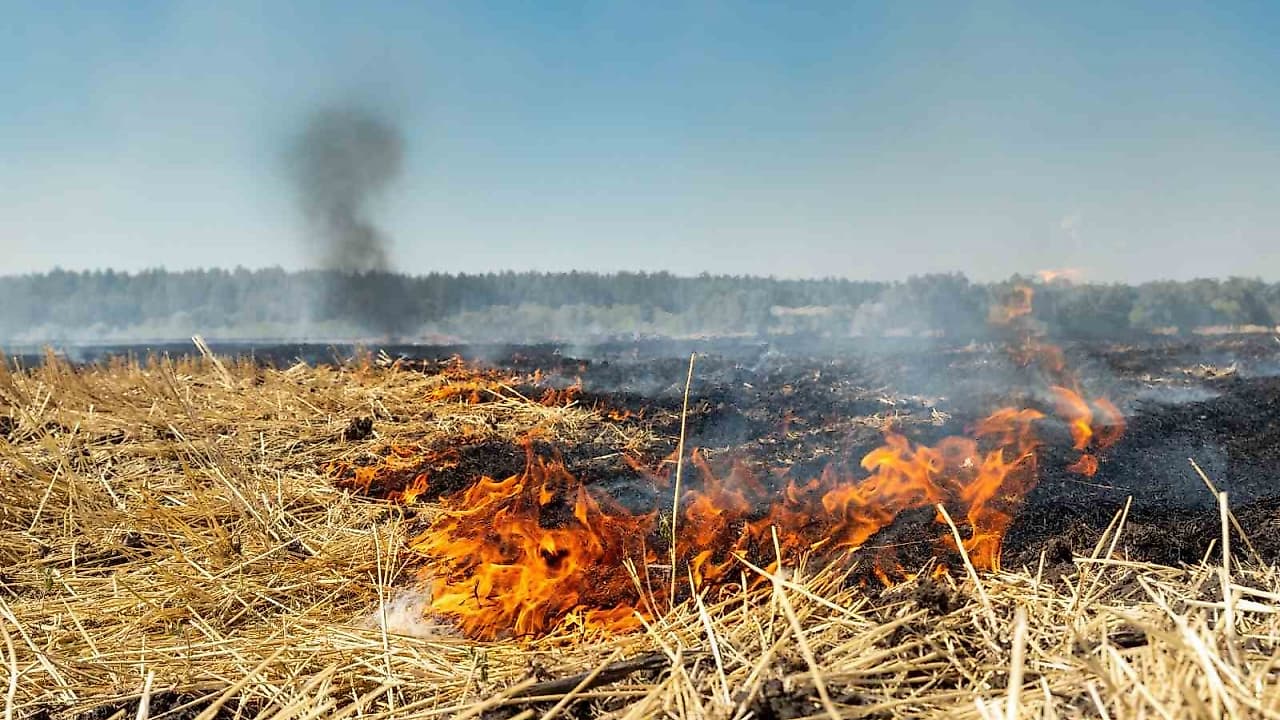 Fırat EDAŞ’tan Anız Yangınlarına Karşı Önemli Uyarı