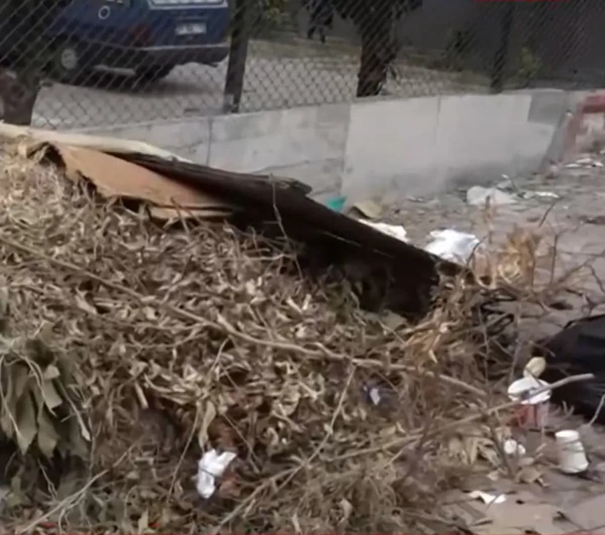 Adana Seyhan'da Çöp ve Koku Krizi: Muhtar Valiliğe Başvurdu
