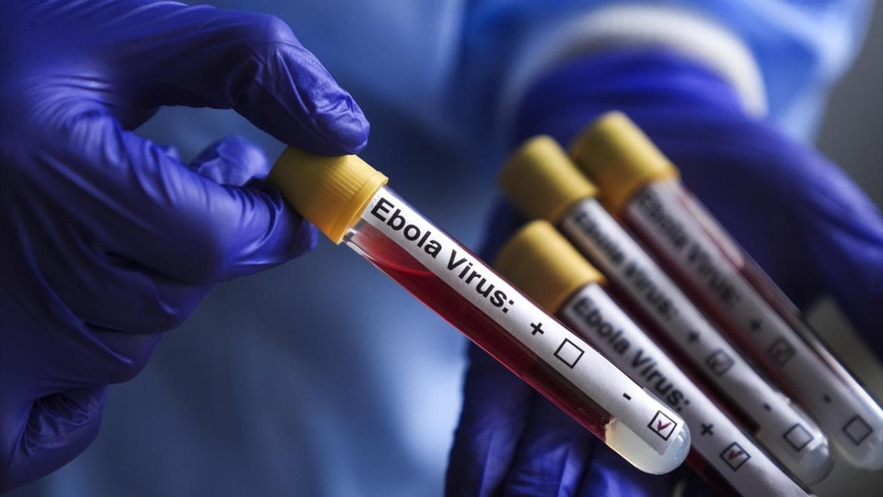 Kongo Demokratik Cumhuriyeti'nde Ebola vakası sayısı 8 bini aştı