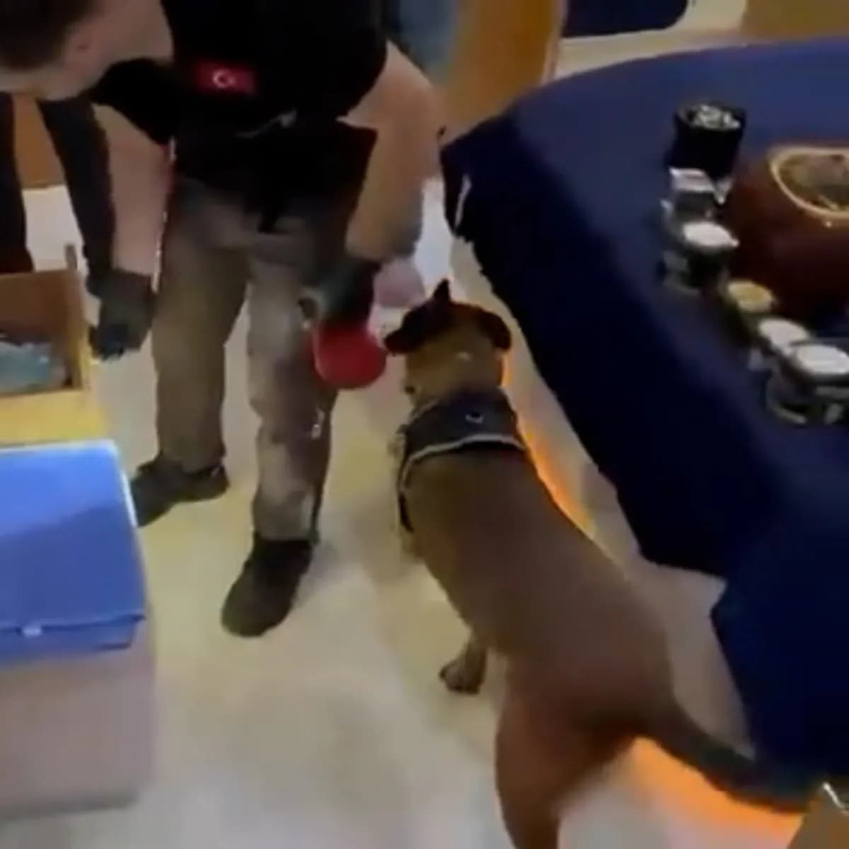 Antalya'da uyuşturucu ve fuhuş soruşturması! 35 adres ve 2 teknede operasyon