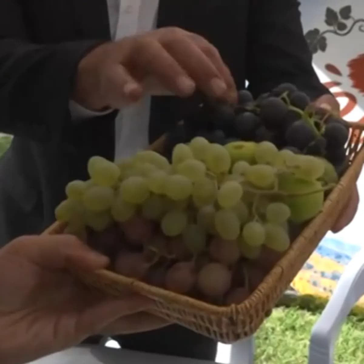 Dicle'de bağ bozumu heyecanı başladı: Üzümler pekmez ve pestile dönüşüyor