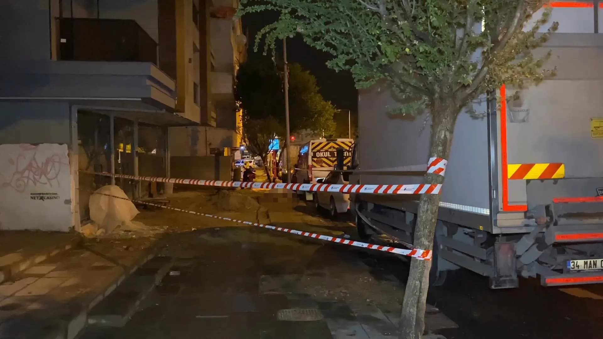 Küçükçekmece’de elektrik faciası! Köpek öldü, sahibi yaralandı