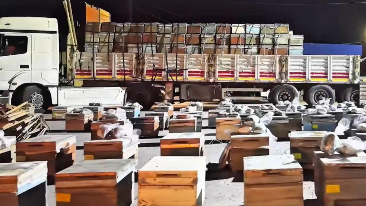 Hakkari'de Arı Kovanları Arasına Gizlenmiş 91 Kilogram Uyuşturucu Yakalandı