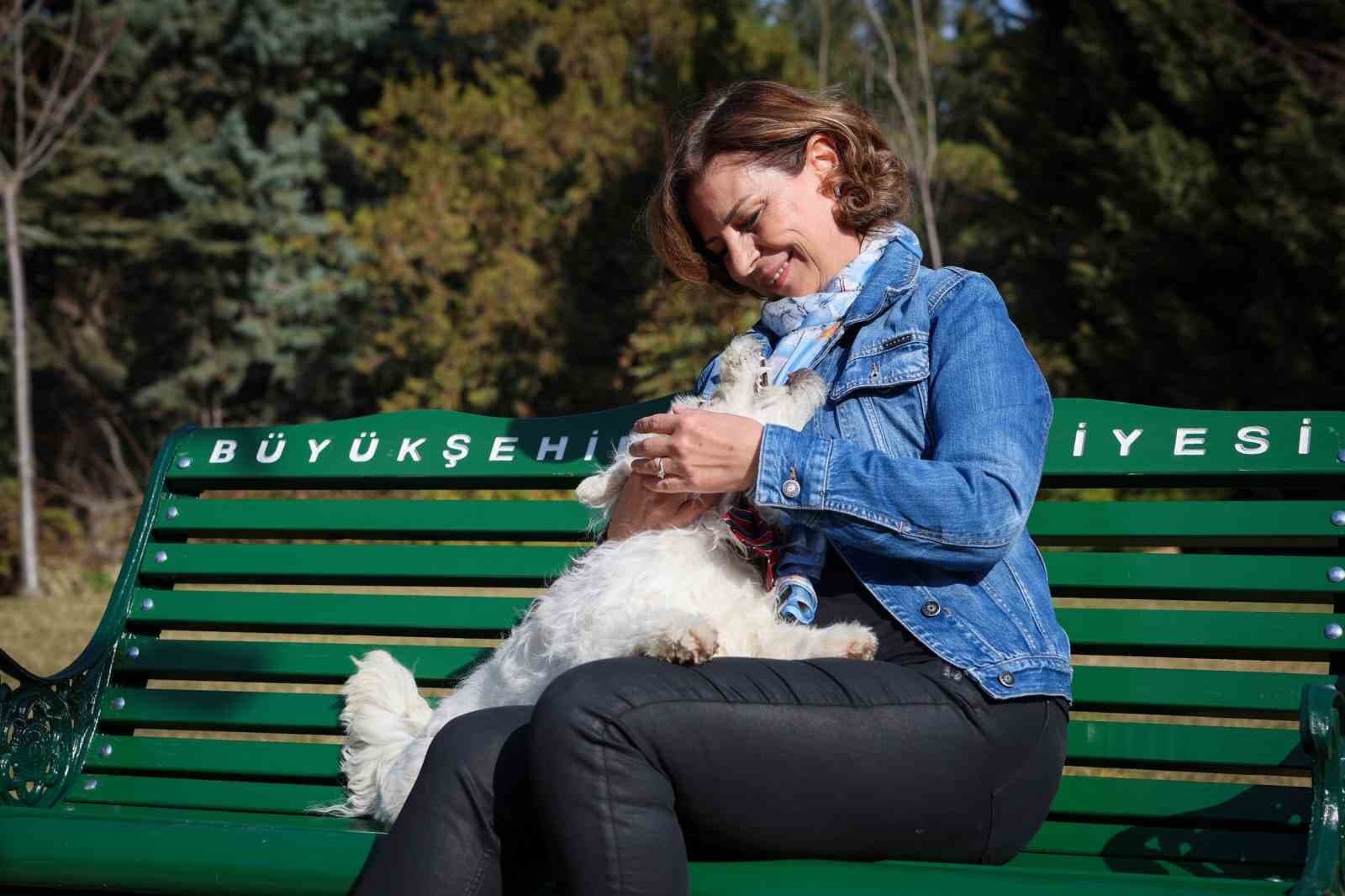 Başkan Ayşe Ünlüce'den 4 Ekim Dünya Hayvanları Koruma Günü Mesajı
