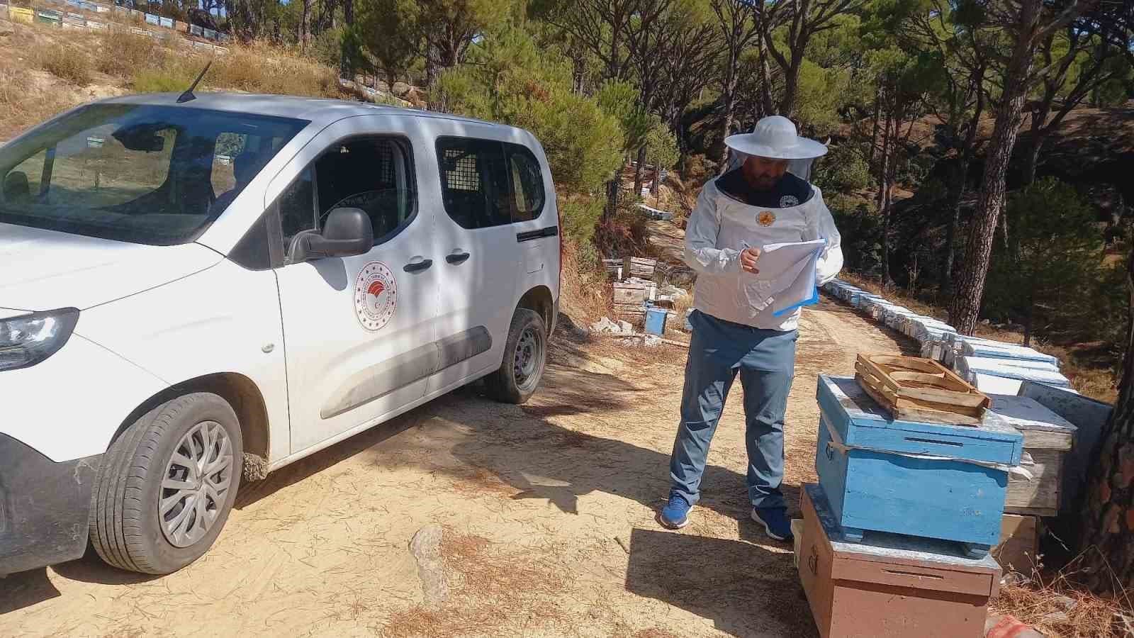 Bozdoğan'da Arıcılara Yönelik Kovan Destek Çalışmaları Devam Ediyor