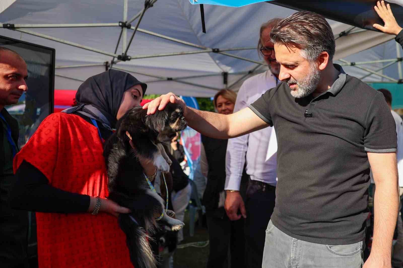 Bursa'da 92 Can Dostu Yeni Yuvasına Kavuştu