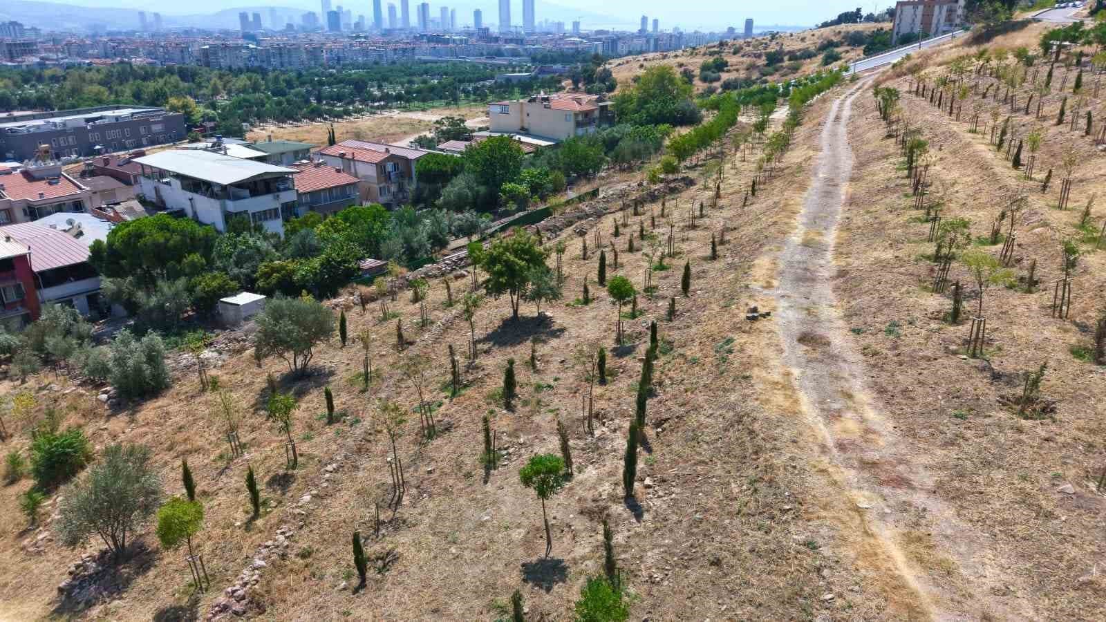 İzmir'de Dev Ağaçlandırma Hamlesi: 1 Milyon Metrekarelik Alan Yeşilleniyor