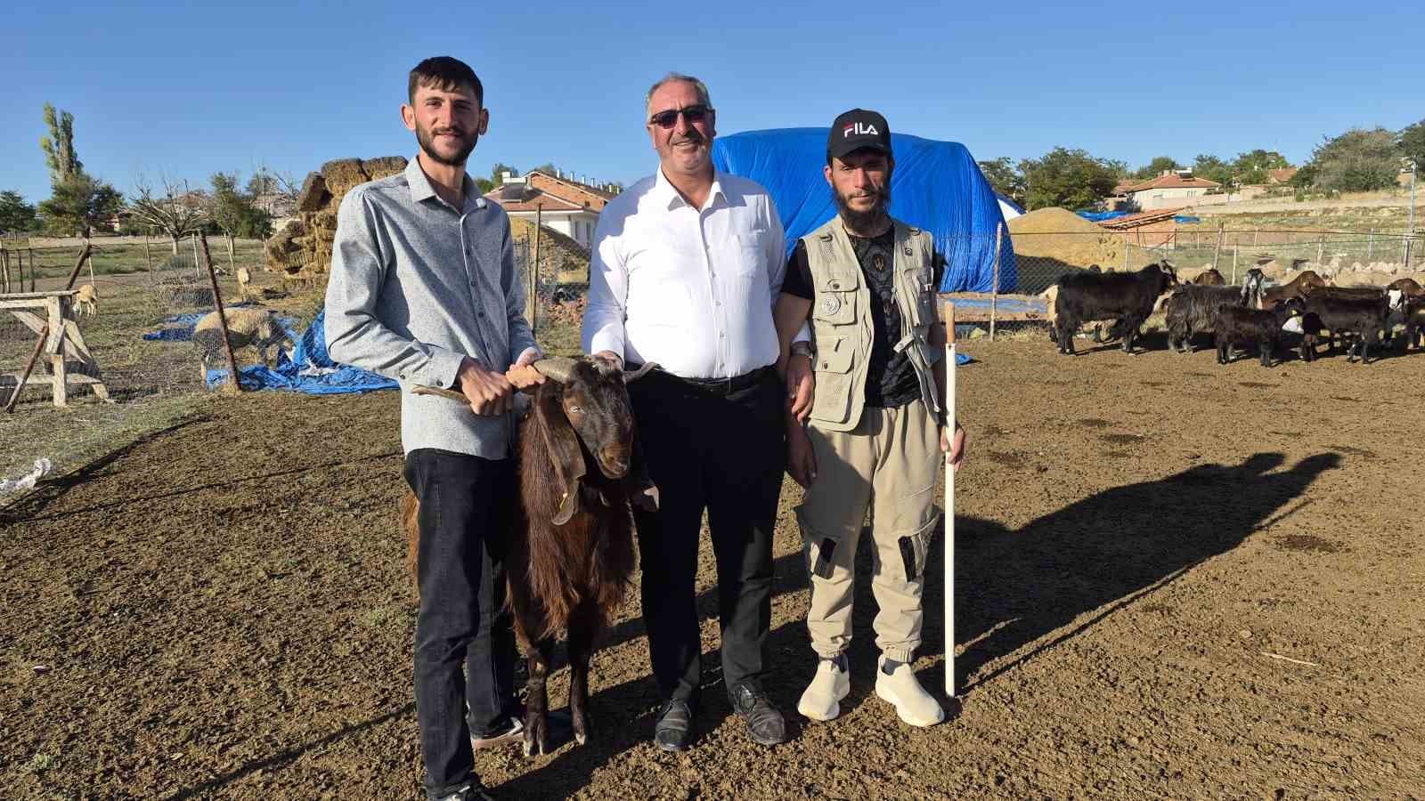 Çobanlık yapıyordu, şimdi kendi sürüsünün başına Afgan çoban getirdi