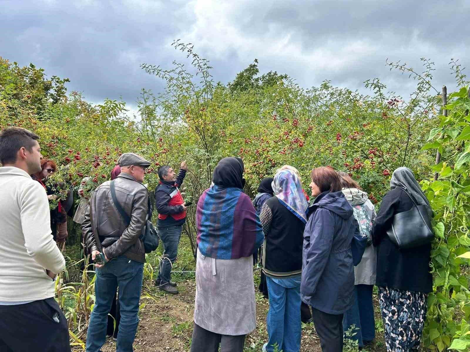 Eskişehirli Kadın Çiftçiler Kütahya'da Üretim Modellerini İnceledi