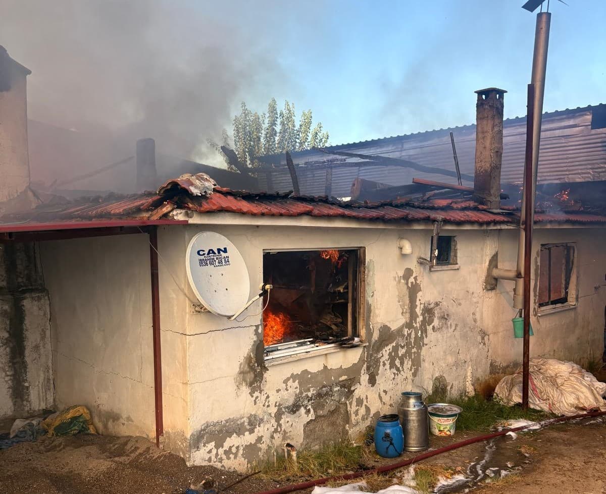 Karacasu'da Ev ve Hayvan Damı Yangında Kül Oldu