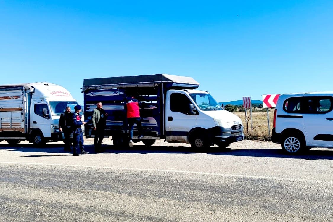 Uşak'ta Hayvan Sağlığı ve Nakil Denetimleri Sıkılaştırıldı