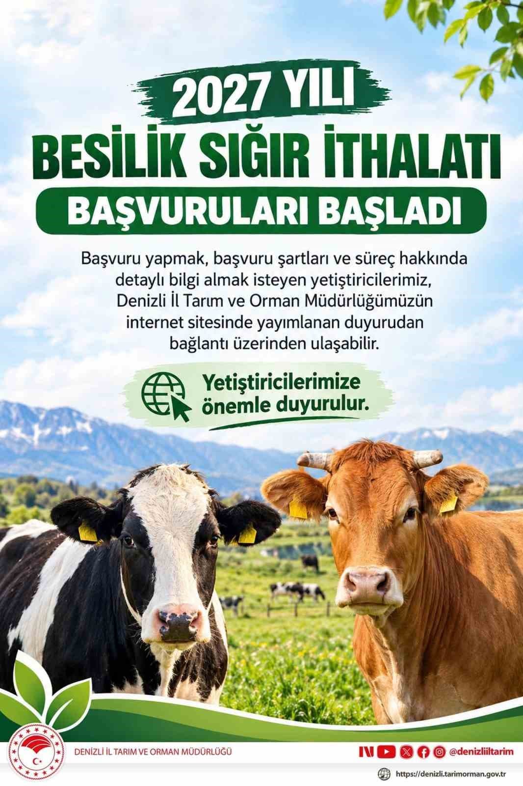 2027 Yılı Besilik Sığır İthalatı İçin Başvurular Başladı