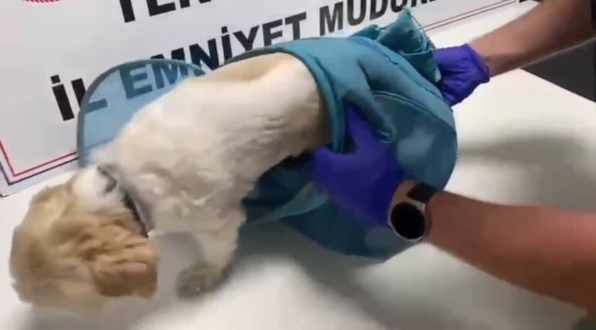 Tekirdağ'da Uyuşturucu Operasyonu: Evcil Hayvan Pusetleri ve Gizli Bölmeler Ortaya Çıkarıldı