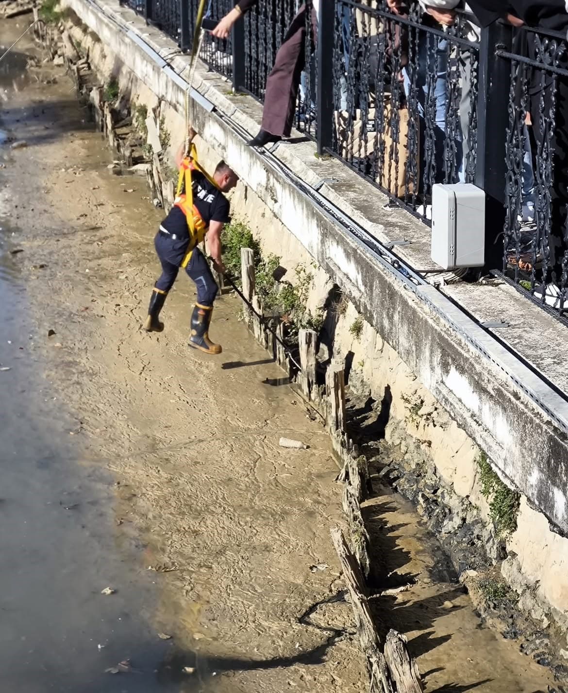 Yalova'da Dereye Düşen İki Kedi İtfaiye Ekiplerince Kurtarıldı