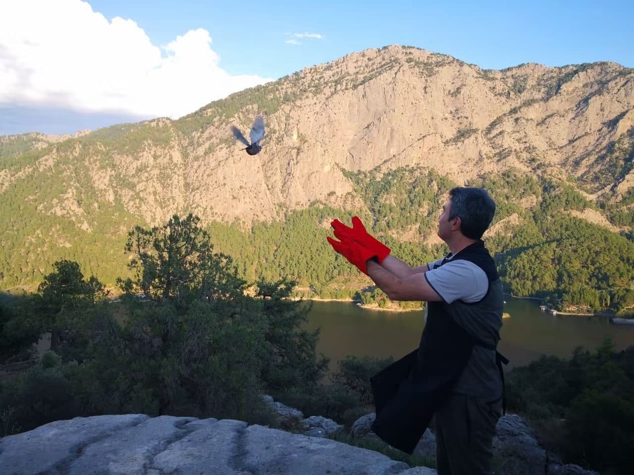 Şuhut'ta Yetiştirilen 200 Çil Keklik Burdur Doğasına Bırakıldı
