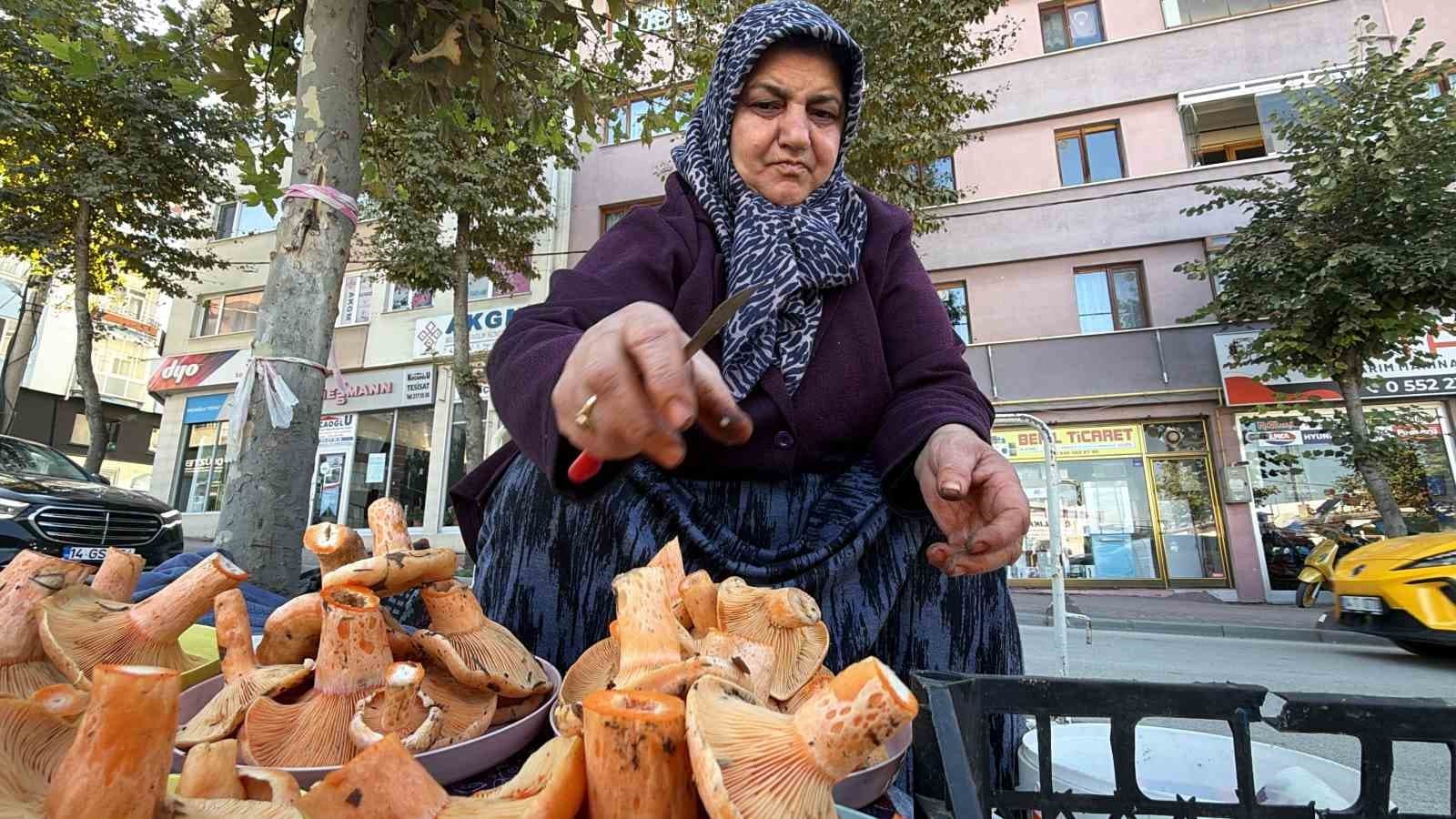 Bolu Ormanlarında Kanlıca Mantarı Mesaisi: Kilosu 600 Liraya Alıcı Buluyor