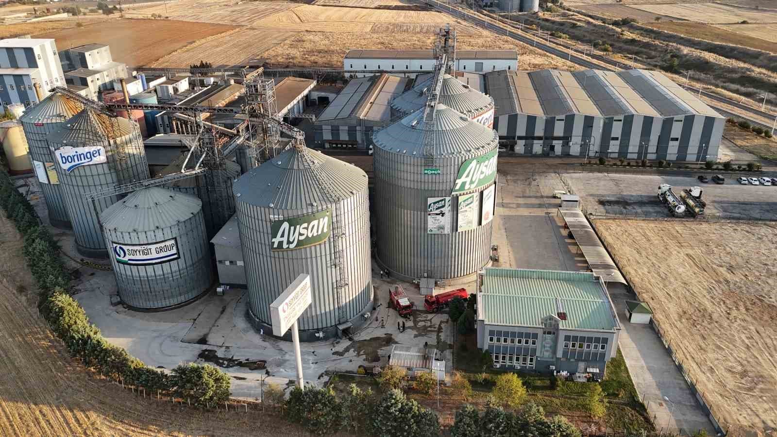 Edirne'deki Sıvı Yağ Fabrikasında Silo Yangını