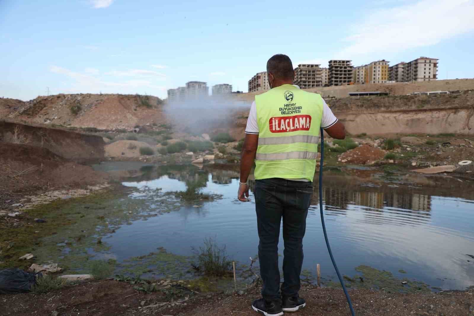Hatay'da Haşere ve Vektörlerle Mücadele Seferberliği