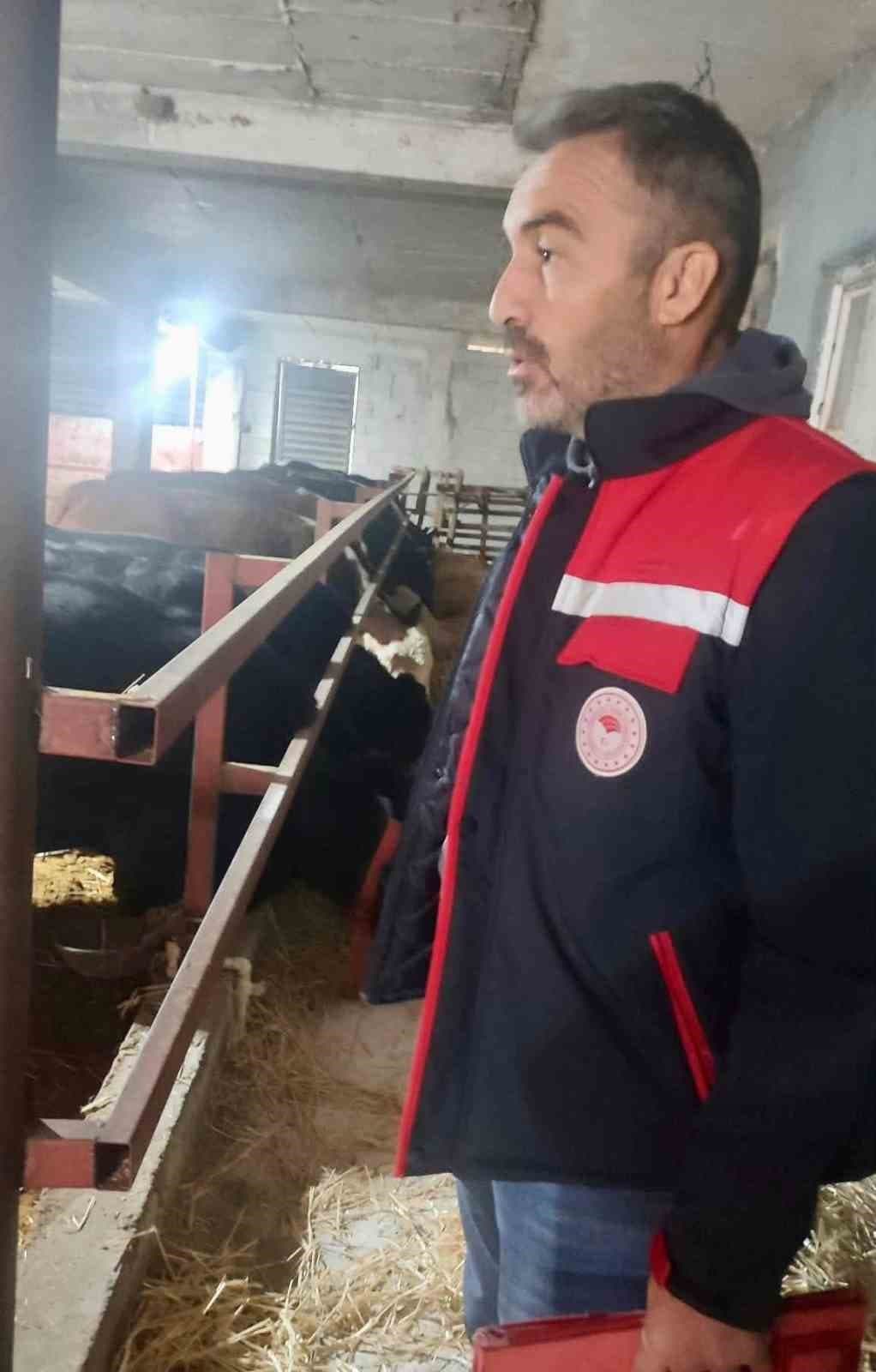 Dinar'da İthal Hayvan İşletmelerine Sıkı Denetim