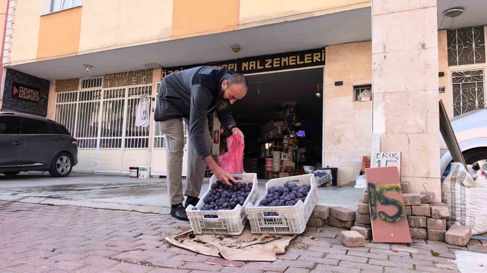 Bursalı Üreticinin Erik Çilesi Sosyal Medyada Yankı Buldu