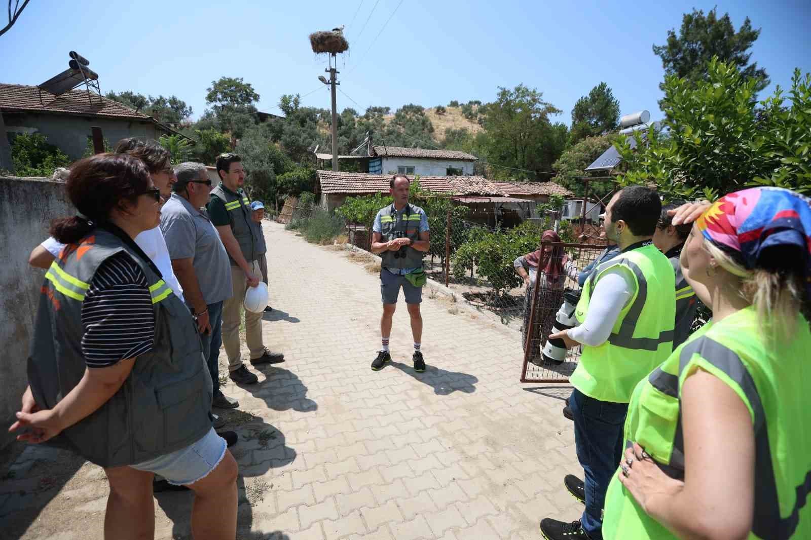 Göçmen Kuşlar İçin Elektrik Hatlarında Güvenlik Önlemleri Artırılıyor