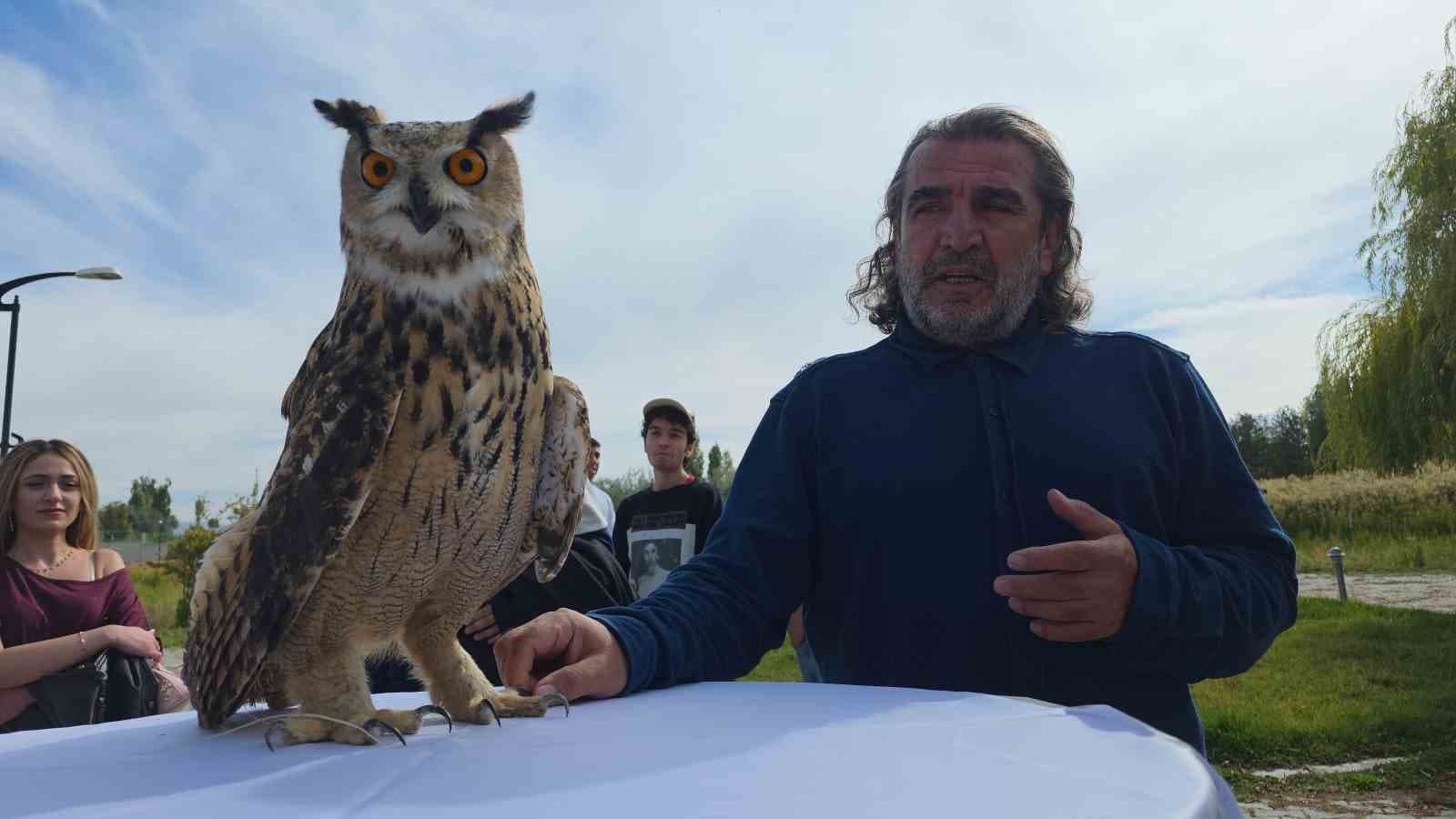 Van YYÜ'de Dünya Göçmen Kuşlar Günü'nde Şahin Doğaya Salındı