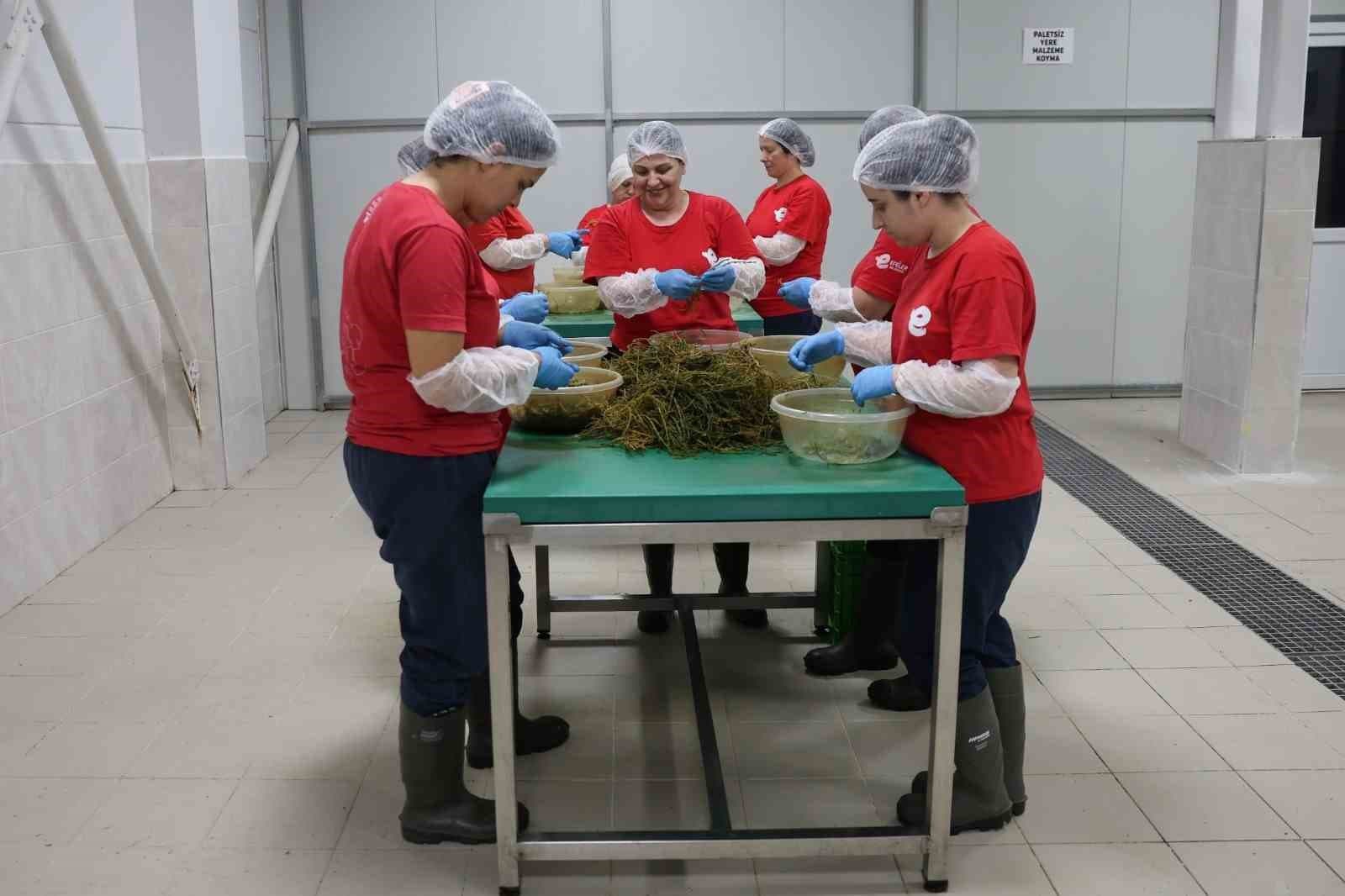 Efeler'de Yöresel Ürün Çeşitliliği 63'e Çıkarıldı