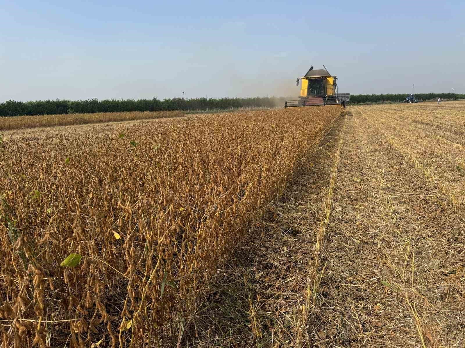 Adana'da 2026 Yılı Soya Hasadı Biçerdöver Ücretleri Belirlendi
