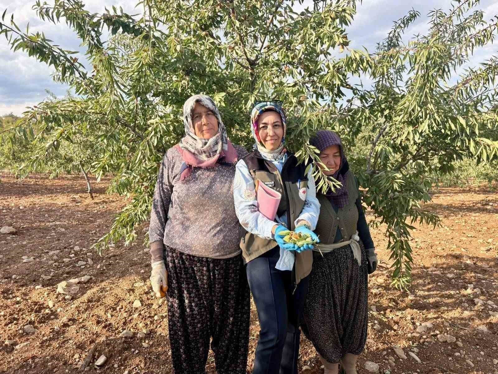 Afyonkarahisar'da Meyve Bahçelerinde Bitki Sağlığı Denetimleri Yapılıyor