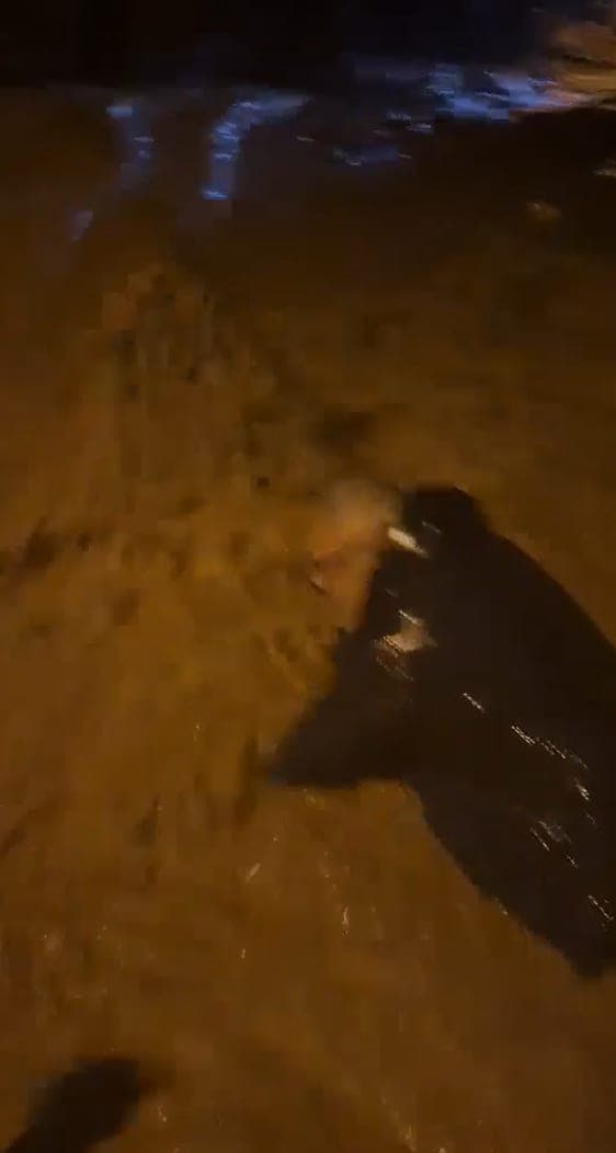Armutlu'da Sel Felaketi: Sulara Kapılan Vatandaş Son Anda Kurtarıldı
