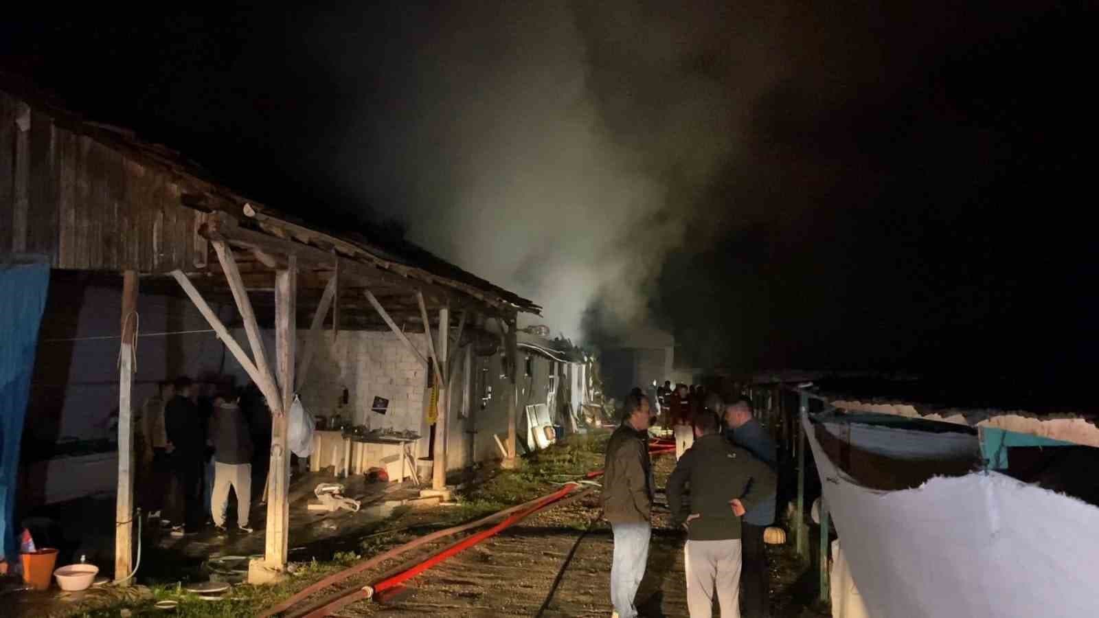 İnegöl'de Büyükbaş Hayvan Çiftliği Yangında Küle Döndü