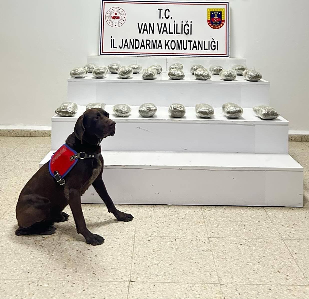 Başkale'de Operasyon: 10 Kilogramdan Fazla Toz Esrar Ele Geçirildi