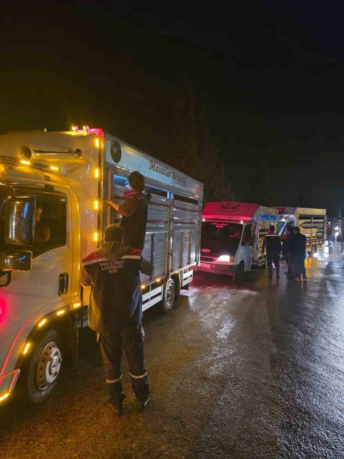Çine Hayvan Pazarı Sıkı Denetimlerle Kapılarını Açtı