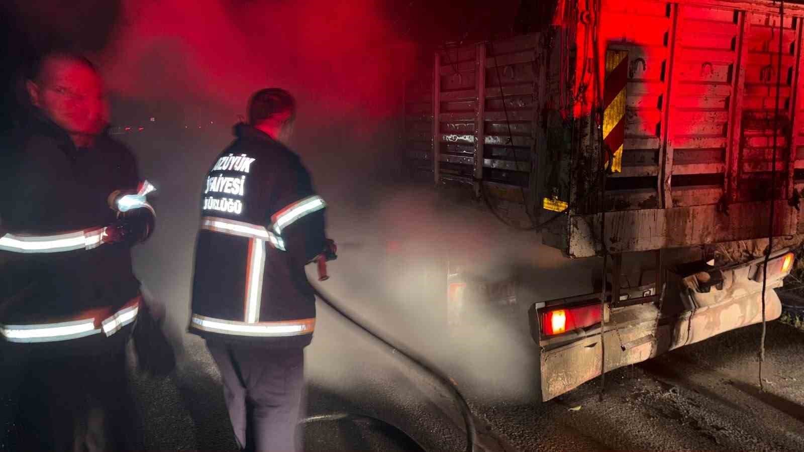 Bilecik'te Kamyon Lastiği Patladı: Araç Alev Aldı