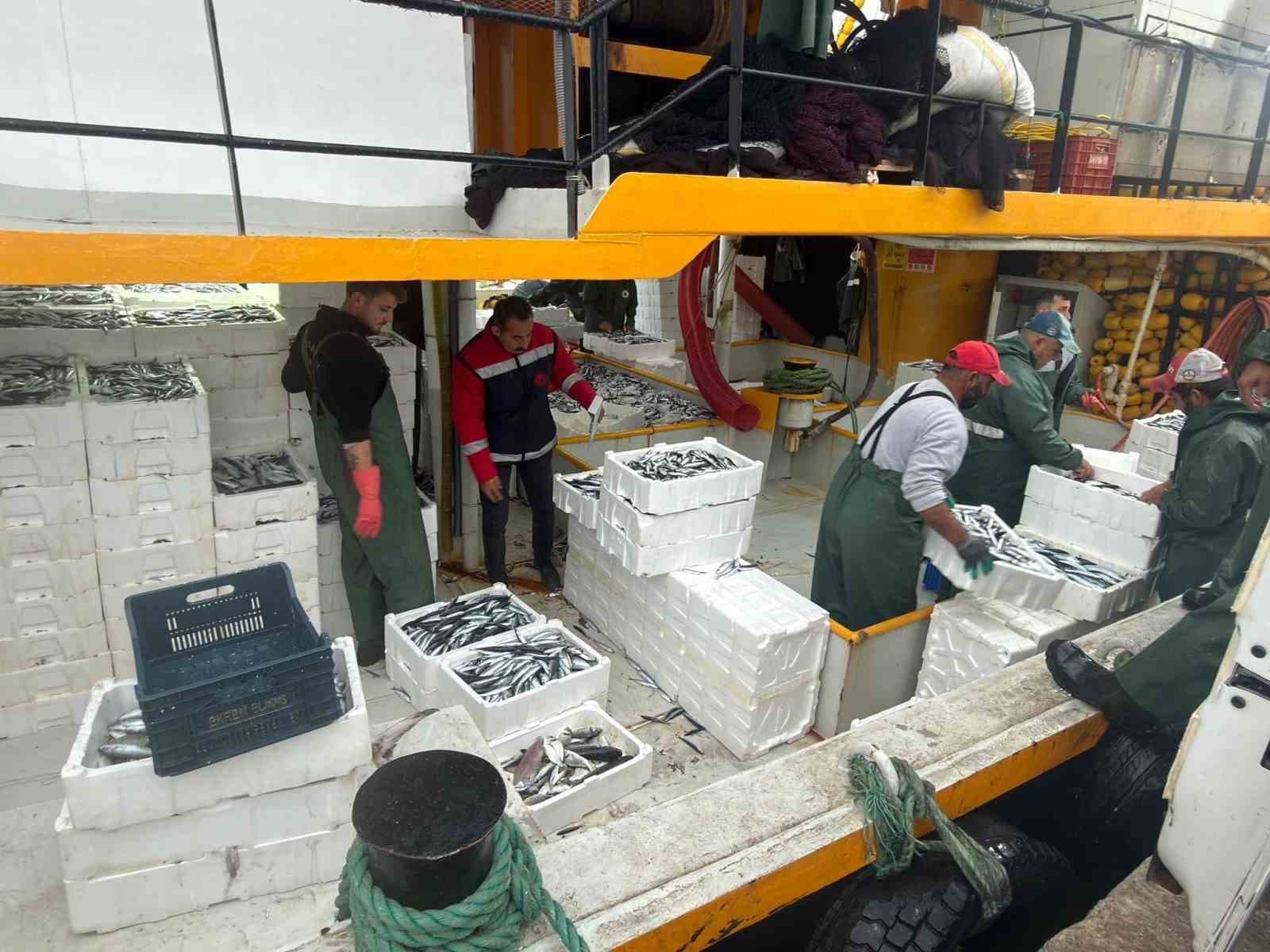 Didim'de Hamsi Avı Kota Denetimleri Sürüyor