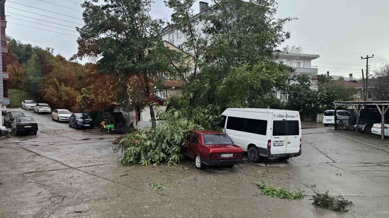 Kastamonu Cide'de Şiddetli Fırtına Tahribata Yol Açtı
