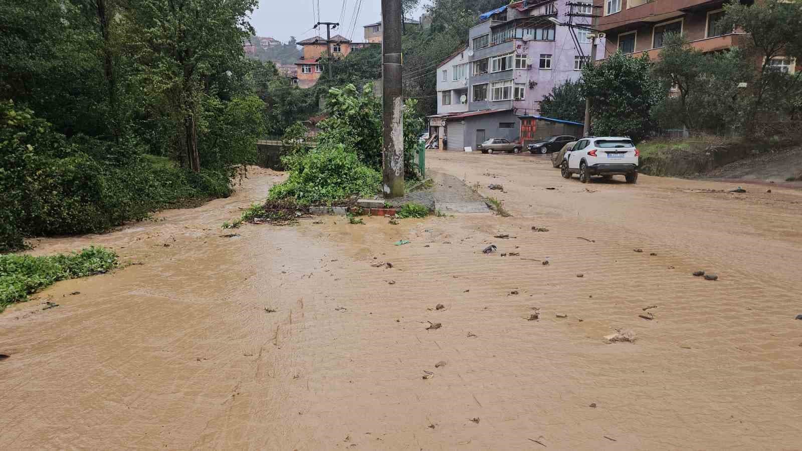 Zonguldak'ta Şiddetli Yağışlar Heyelan ve Su Baskınlarına Yol Açtı