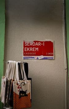 Serdar Ortaç kumarda bu sefer hayatının kazancını yaşadı