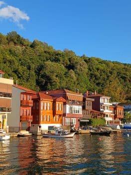 Beykoz'da 'Her Cana Değer' Festivali ile Hayvan Sevgisi Coşkusu