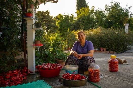 Uzunköprü'de Kadın Üreticilere Salça Makinesi Desteği