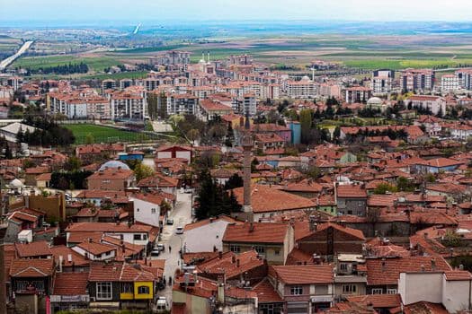 Eskişehir'de Kaçak Alkol ve Tütün Operasyonu: 1 Tutuklama