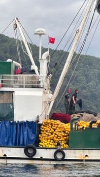 Antalya'da Sahte Alkol Operasyonu: 3 Kişi Gözaltına Alındı