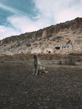 Aksaray'da Doğal Gazlı Su Vatandaşların İlgi Odağı Oldu