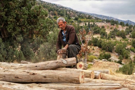 Kaymakam Titiz'den Tarım ve Orman Birimlerine Ziyaret