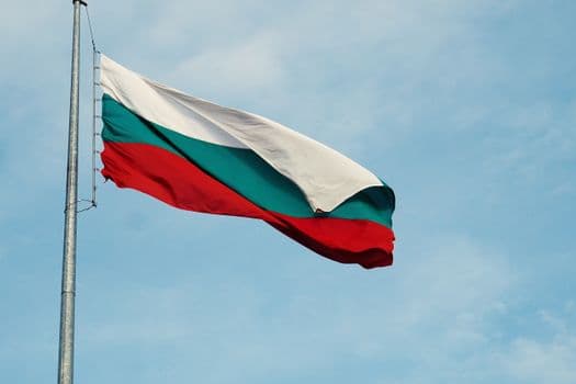 Bulgaristan NATO'nun Anti-Dron Girişimine Katılmaya Hazırlanıyor