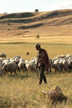 Bakan Çiftçi'den Kritik Meteorolojik Uyarı ve Önlem Açıklaması