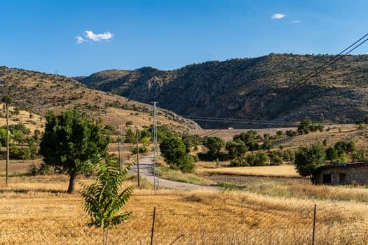 Erzincan'da Üreticilere Kuvvetli Yağış Uyarısı
