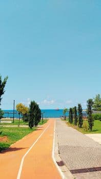 Zonguldak Ereğli'de Sağanak Felaketi: Yollar Göle Döndü